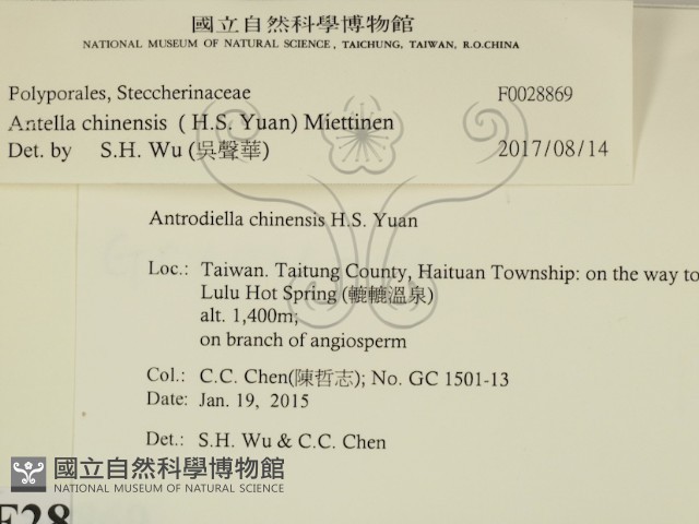 登錄號:F0028869藏品圖，第2張