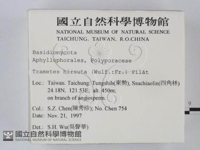 登錄號:F0008869藏品圖，第2張