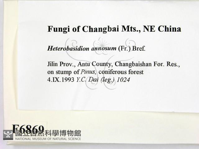 登錄號:F0006869藏品圖，第2張