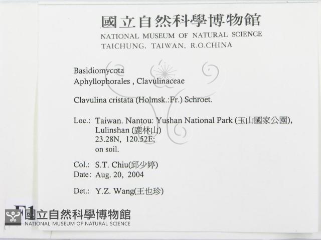 登錄號:F0016869藏品圖，第2張