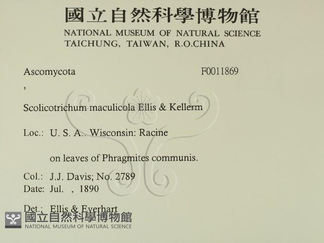 登錄號:F0011869藏品圖，第2張