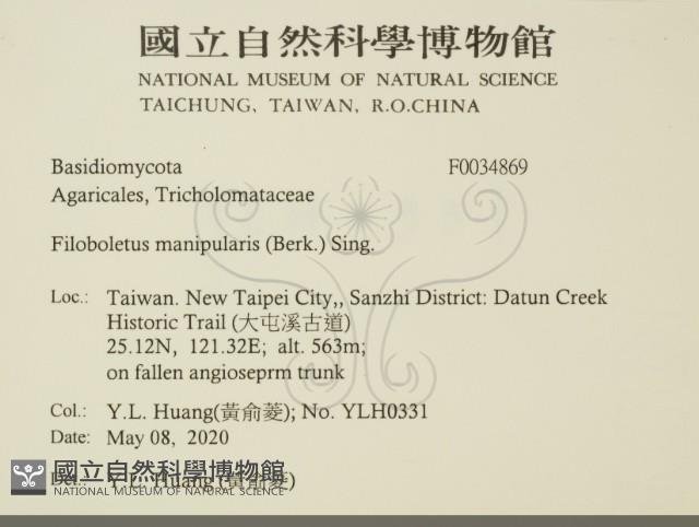 登錄號:F0034869藏品圖，第2張