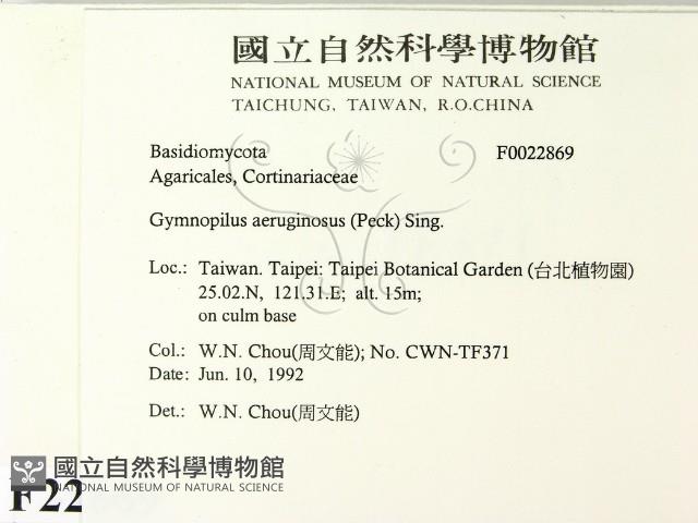 登錄號:F0022869藏品圖，第2張
