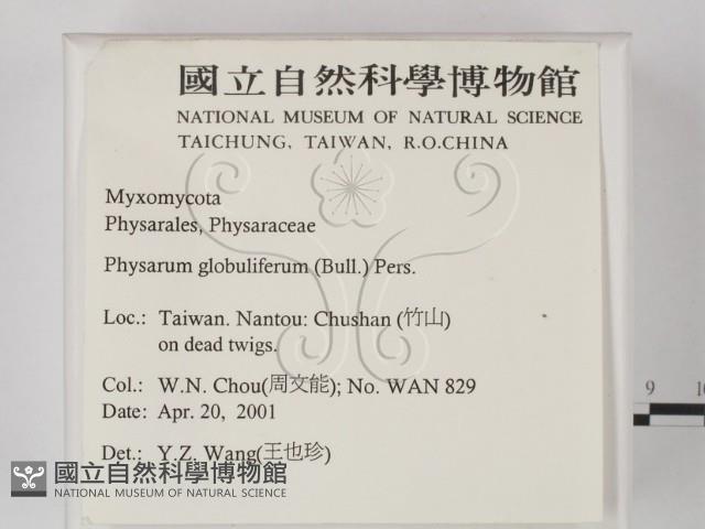 登錄號:F0012869藏品圖，第2張