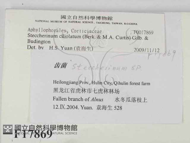 登錄號:F0017869藏品圖，第2張