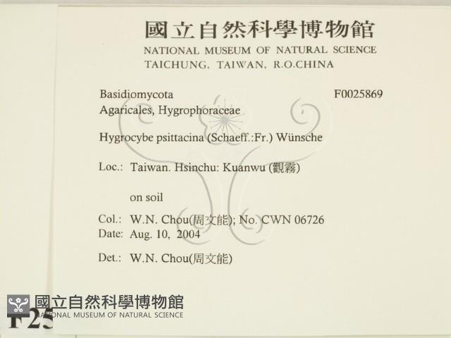 登錄號:F0025869藏品圖，第2張