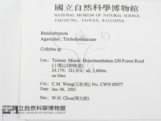 登錄號:F0015869藏品圖，第2張