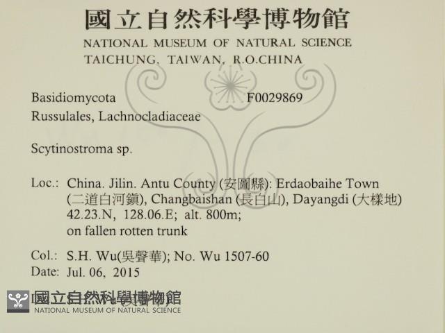 登錄號:F0029869藏品圖，第2張