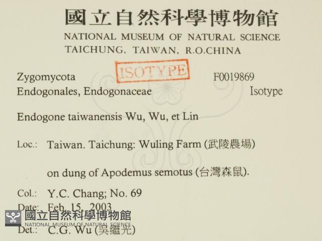登錄號:F0019869藏品圖，第2張
