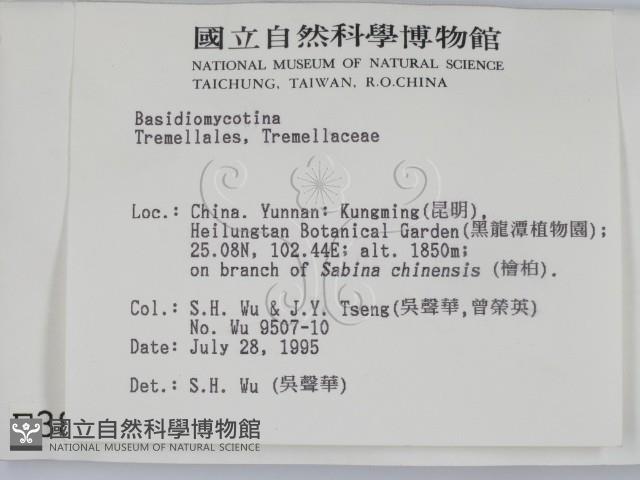 登錄號:F0003869藏品圖，第2張