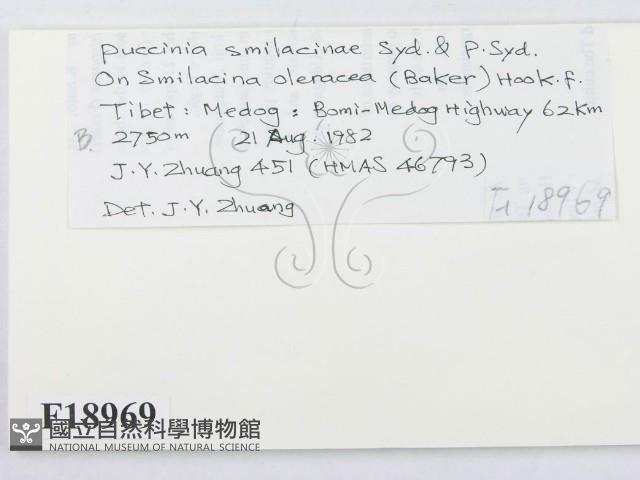 登錄號:F0018969藏品圖，第2張