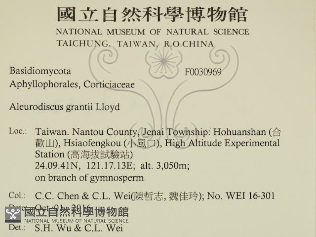 登錄號:F0030969藏品圖，第2張