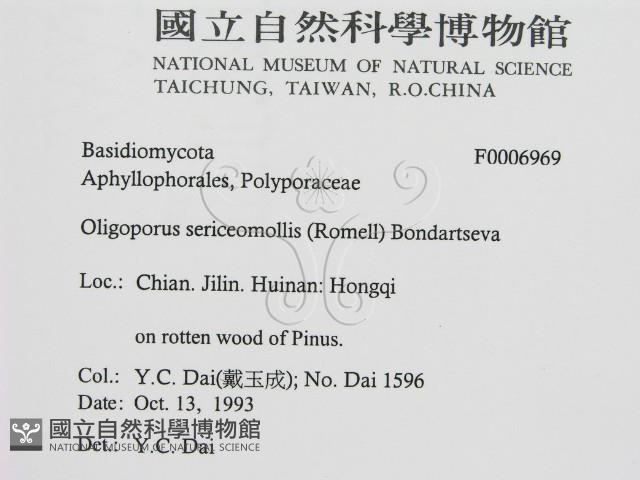 登錄號:F0006969藏品圖，第2張