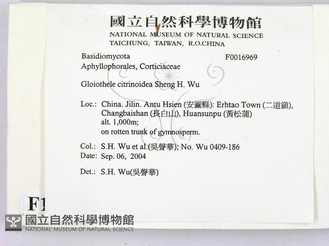 登錄號:F0016969藏品圖，第2張