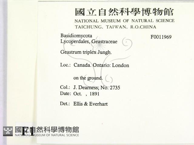 登錄號:F0011969藏品圖，第2張
