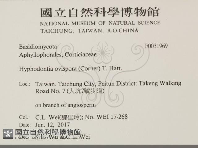 登錄號:F0031969藏品圖，第2張