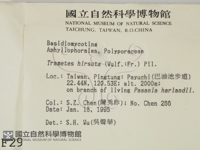 登錄號:F0002969藏品圖，第2張