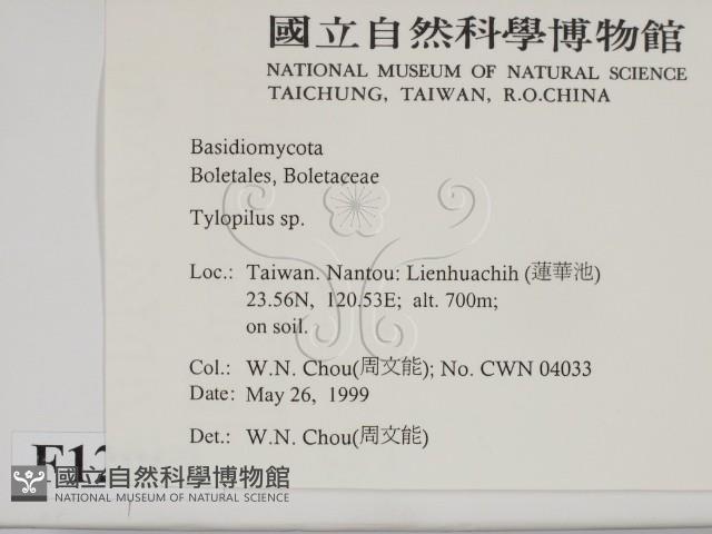 登錄號:F0012969藏品圖，第2張