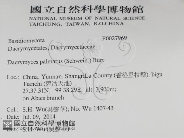 登錄號:F0027969藏品圖，第2張