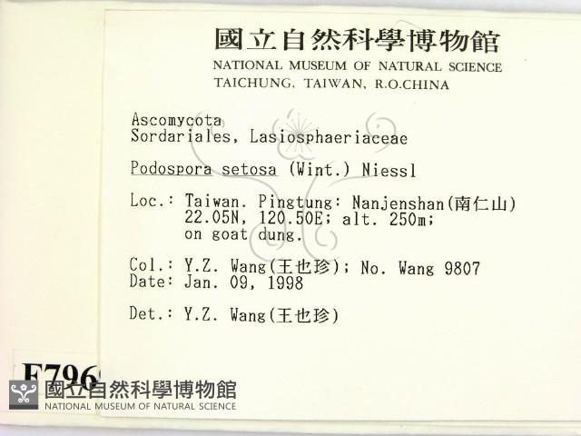 登錄號:F0007969藏品圖，第2張