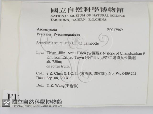 館號:F0017969藏品圖，第2張
