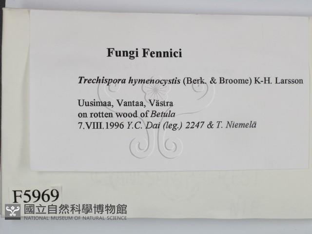 登錄號:F0005969藏品圖，第2張