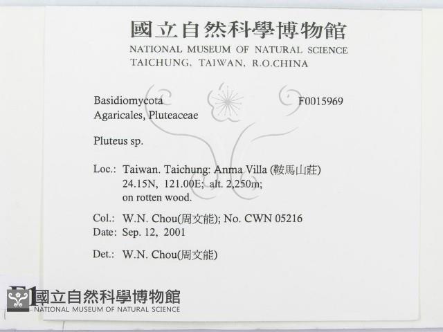 登錄號:F0015969藏品圖，第2張
