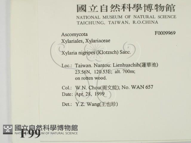 登錄號:F0009969藏品圖，第2張