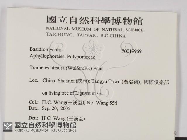 登錄號:F0019969藏品圖，第2張