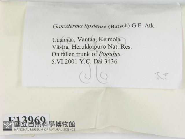 登錄號:F0013969藏品圖，第2張