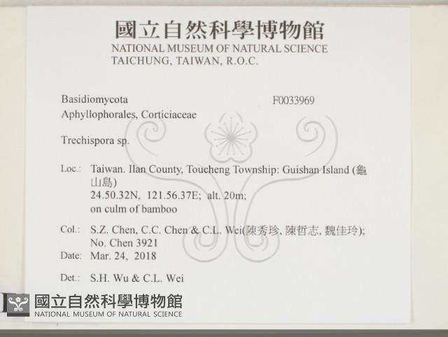 登錄號:F0033969藏品圖，第2張