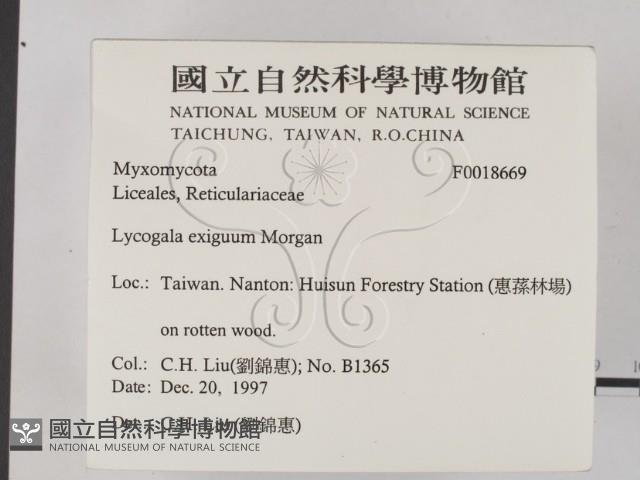 登錄號:F0018669藏品圖，第2張