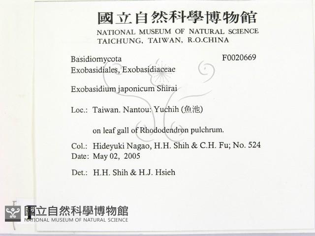 登錄號:F0020669藏品圖，第2張
