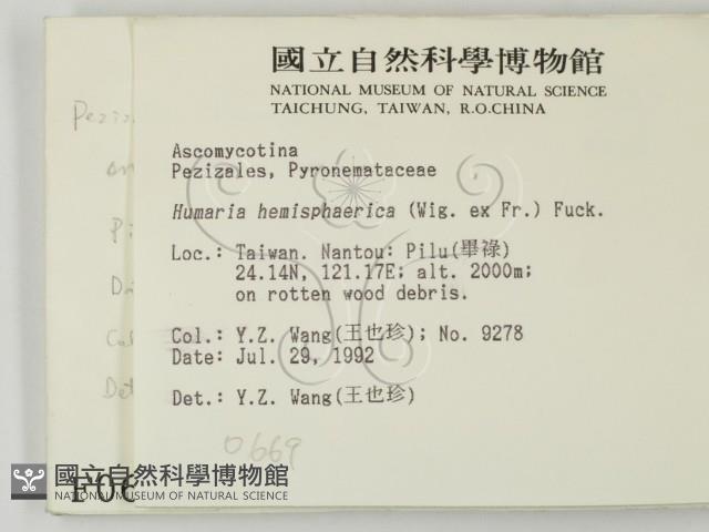 館號:F0000669藏品圖，第2張