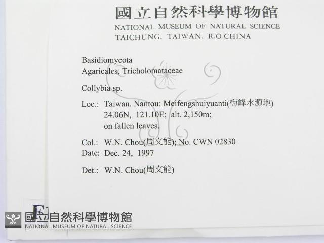 登錄號:F0010669藏品圖，第2張