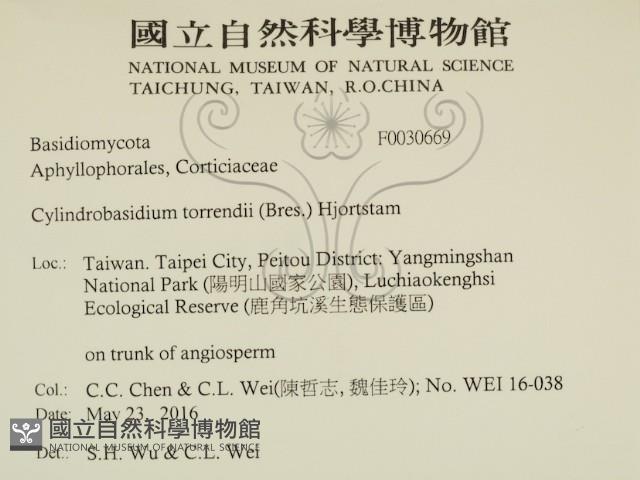 登錄號:F0030669藏品圖，第2張