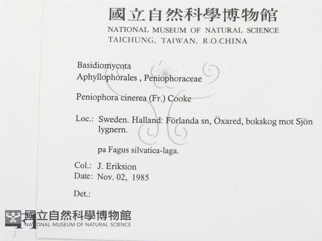 登錄號:F0016669藏品圖，第2張