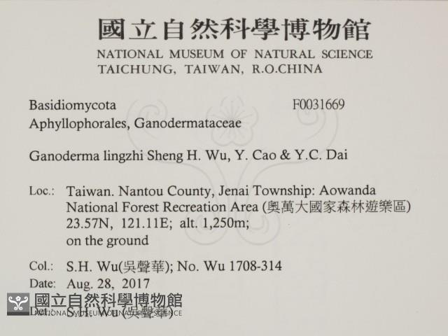 登錄號:F0031669藏品圖，第2張