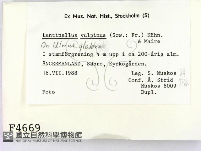 登錄號:F0004669藏品圖，第2張