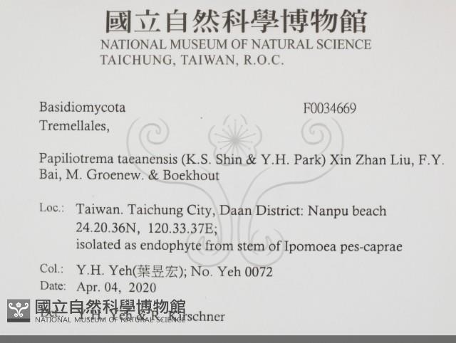 登錄號:F0034669藏品圖，第2張