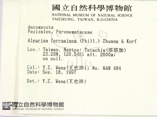 登錄號:F0007669藏品圖，第2張