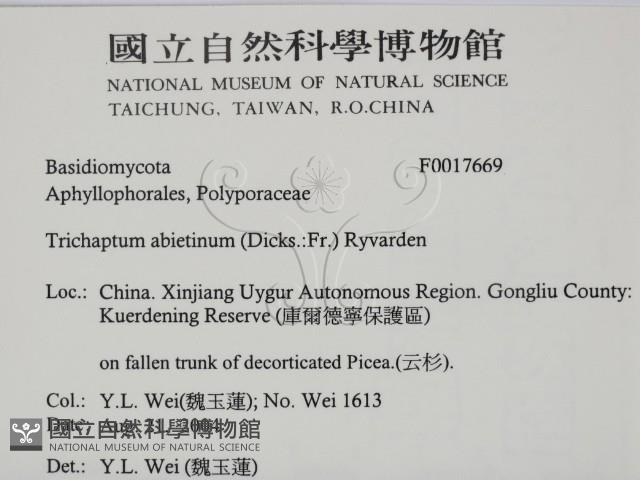 登錄號:F0017669藏品圖，第2張