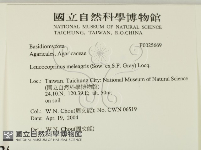 登錄號:F0025669藏品圖，第2張