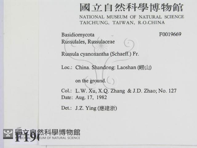 登錄號:F0019669藏品圖，第2張