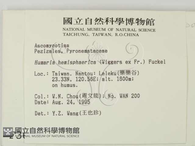 登錄號:F0003669藏品圖，第2張