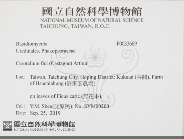 登錄號:F0033669藏品圖，第2張