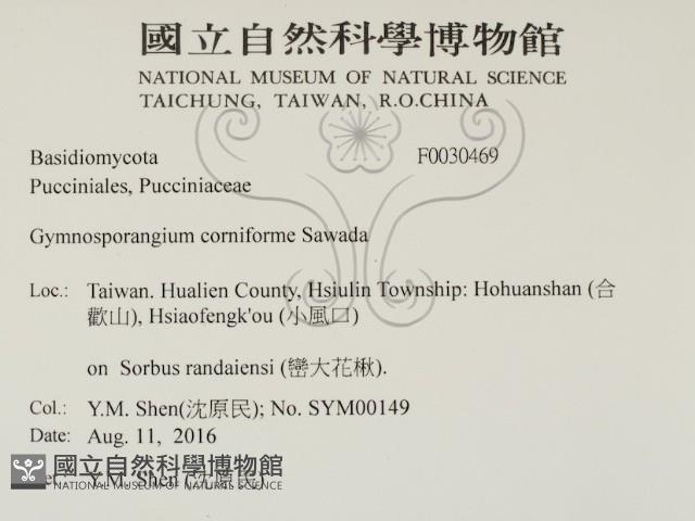 登錄號:F0030469藏品圖，第2張