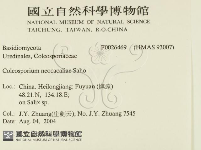 登錄號:F0026469藏品圖，第2張