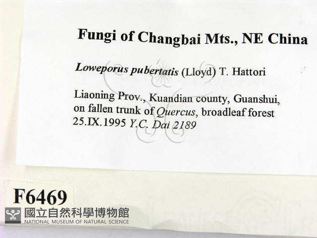 登錄號:F0006469藏品圖，第2張