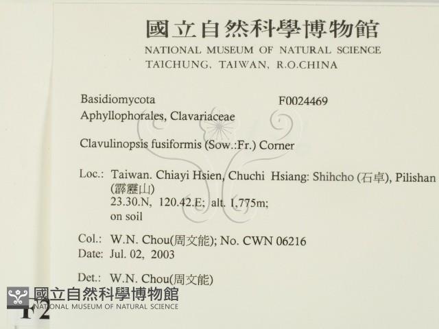 登錄號:F0024469藏品圖，第2張